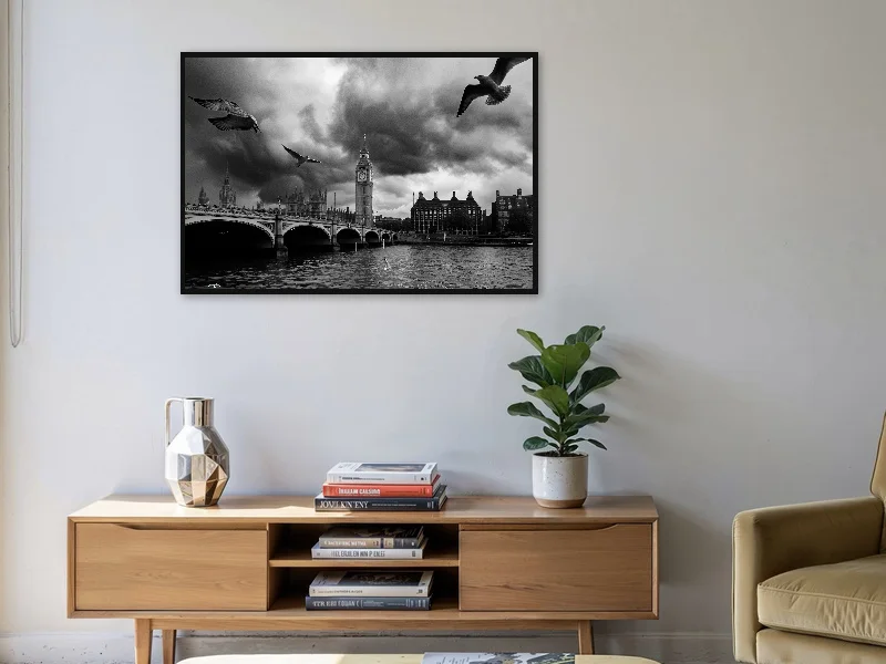 BIRDS — gallery print in situ.