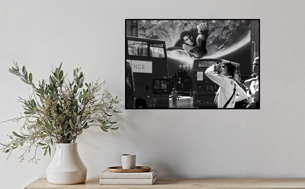 IT’S A BIRD — fine-art print in an interior.