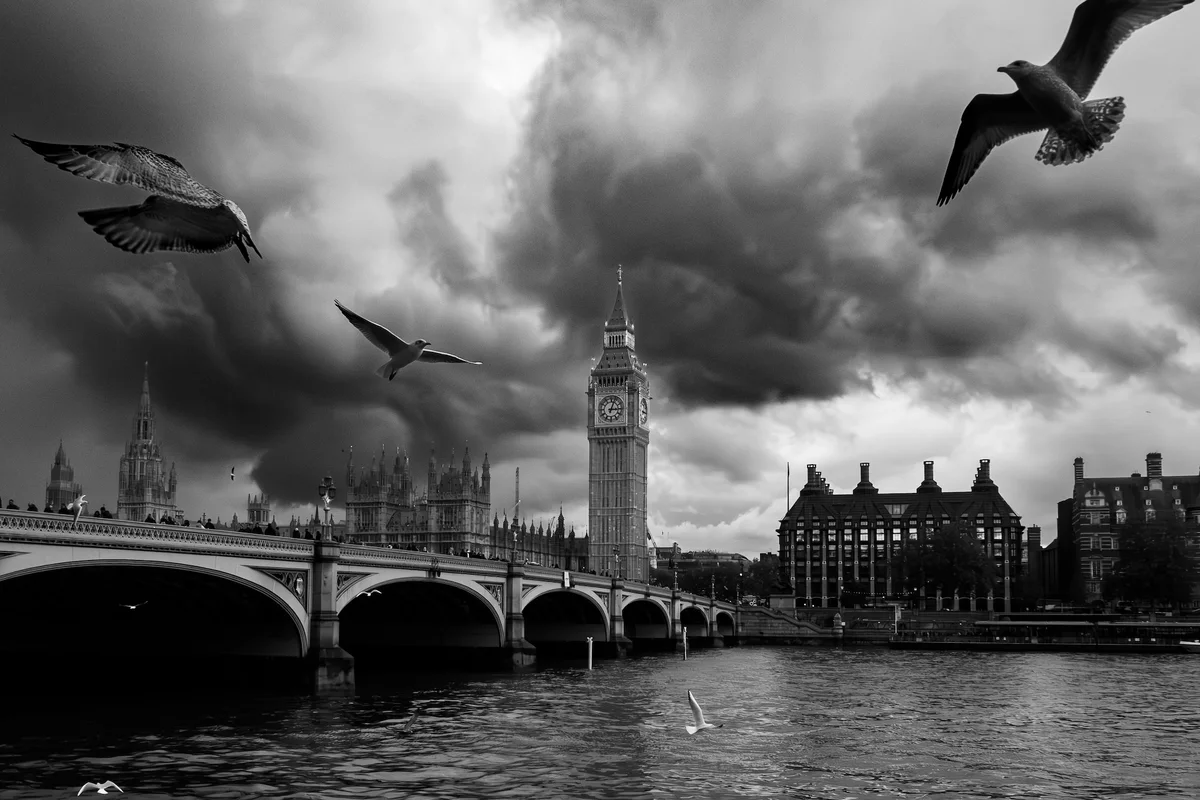 Photograph “BIRDS”, London, England (October 2023).