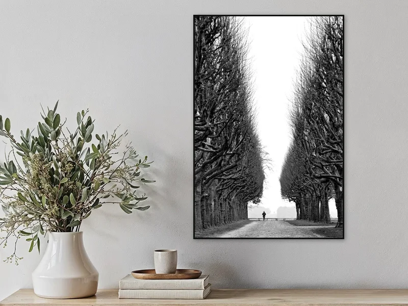 THE MAN AND THE GIANT TREES — fine art print in situ.