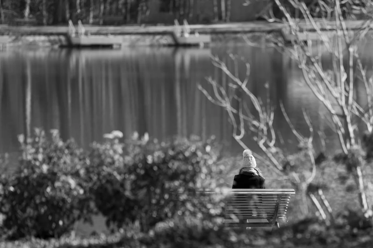 Photograph “LOST IN NATURE”, Meudon, France (March 2025).