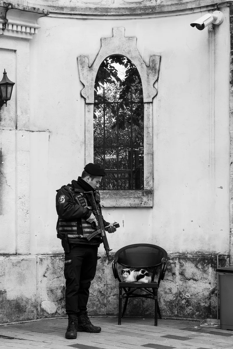 Photograph “CAT UNDER ARREST”, Istanbul, Turkey (April 2025).