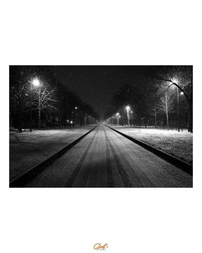 Avenue under the Snow