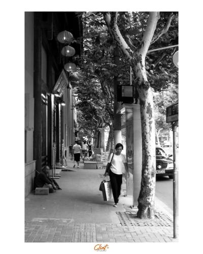 Shanghai Street