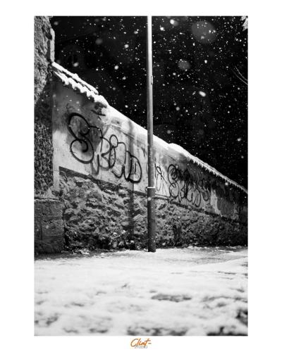 Snowy Tag